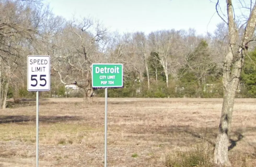 Why Are So Many from Michigan Falling for this ‘Detroit City Limit – Population 704′ Sign?