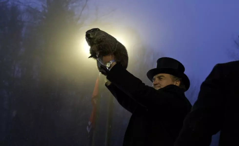 Punxsutawney Phil&#8217;s Shadow Means Six More Weeks Of Winter [Video]