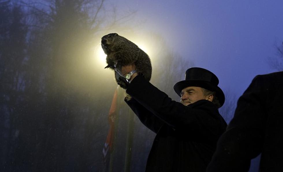 Punxsutawney Phil’s Shadow Means Six More Weeks Of Winter [Video]