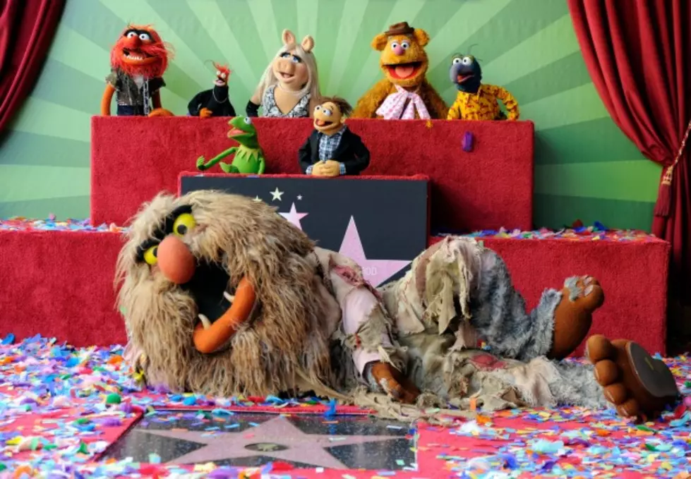 &#8220;Muppets Most Wanted&#8221; Movie Opens March 21, 2014 [Video]
