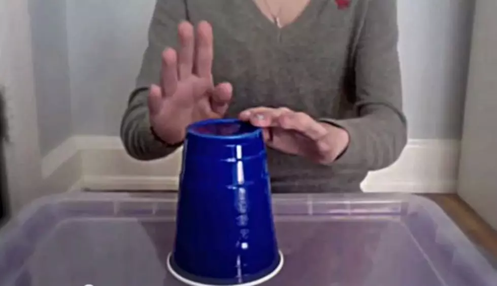 The Cups Song Is All The Rage: Learn How To Do It [Video]
