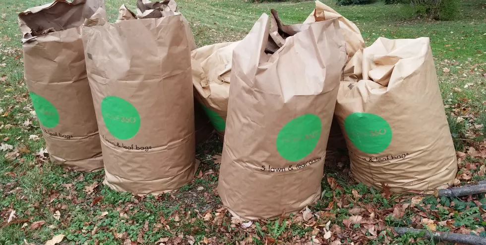 Town of Oneonta Starts Leaf Collection on Oct 21