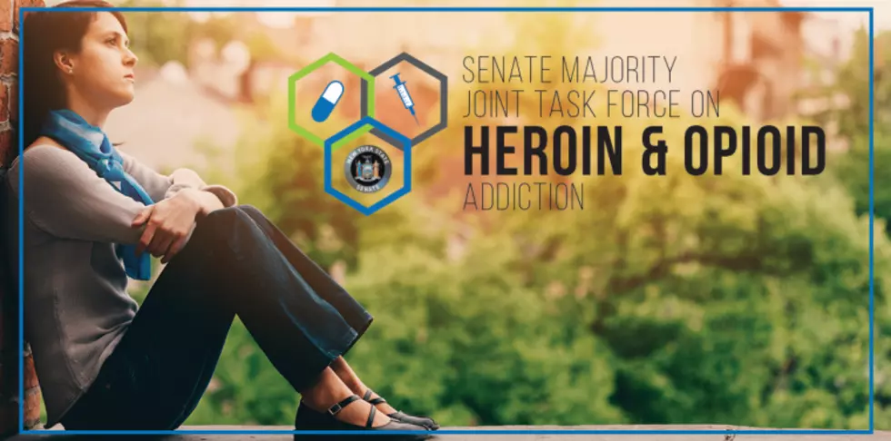 Report Released From Joint Senate Task Force On Addiction