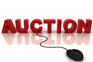 Oneonta Holding Surplus Online Auction.  Need a New Bus?