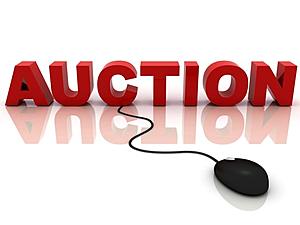 Oneonta Holding Surplus Online Auction.  Need a New Bus?