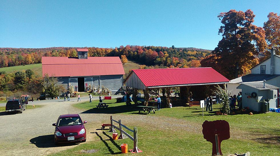 Otsego County Fall Favorite Places To Visit