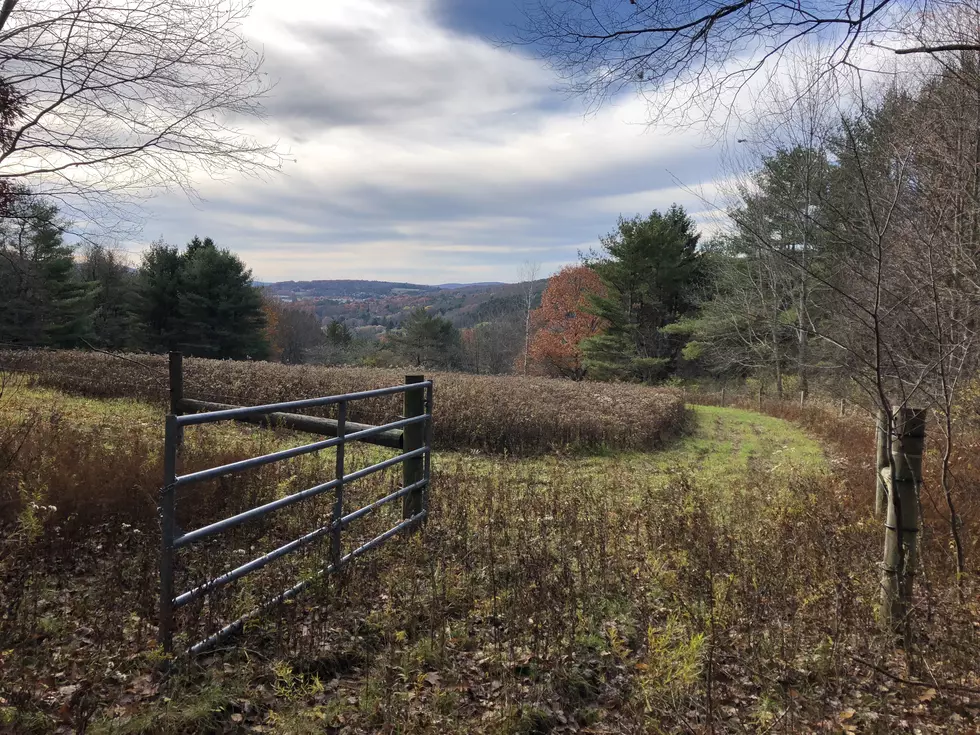 132 Acres in Town of Oneonta Declared Forever Wild