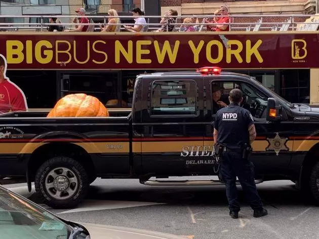 The Giant Delhi Pumpkin Has Landed in NYC