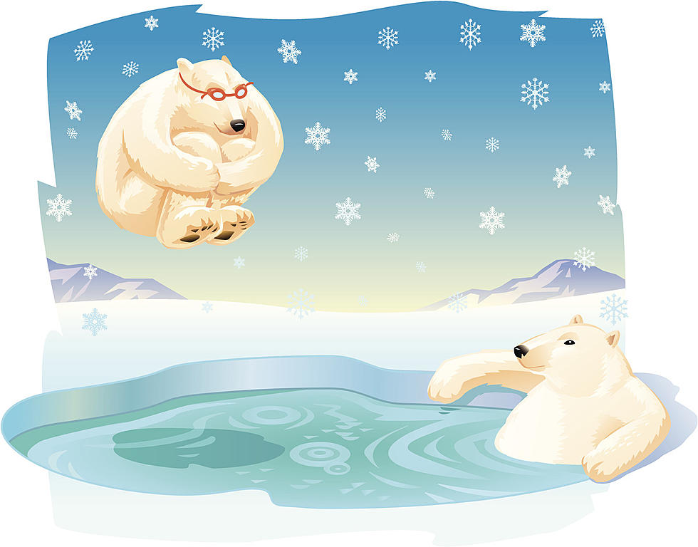 Goodyear Lake Polar Bear Jump To Take Hiatus