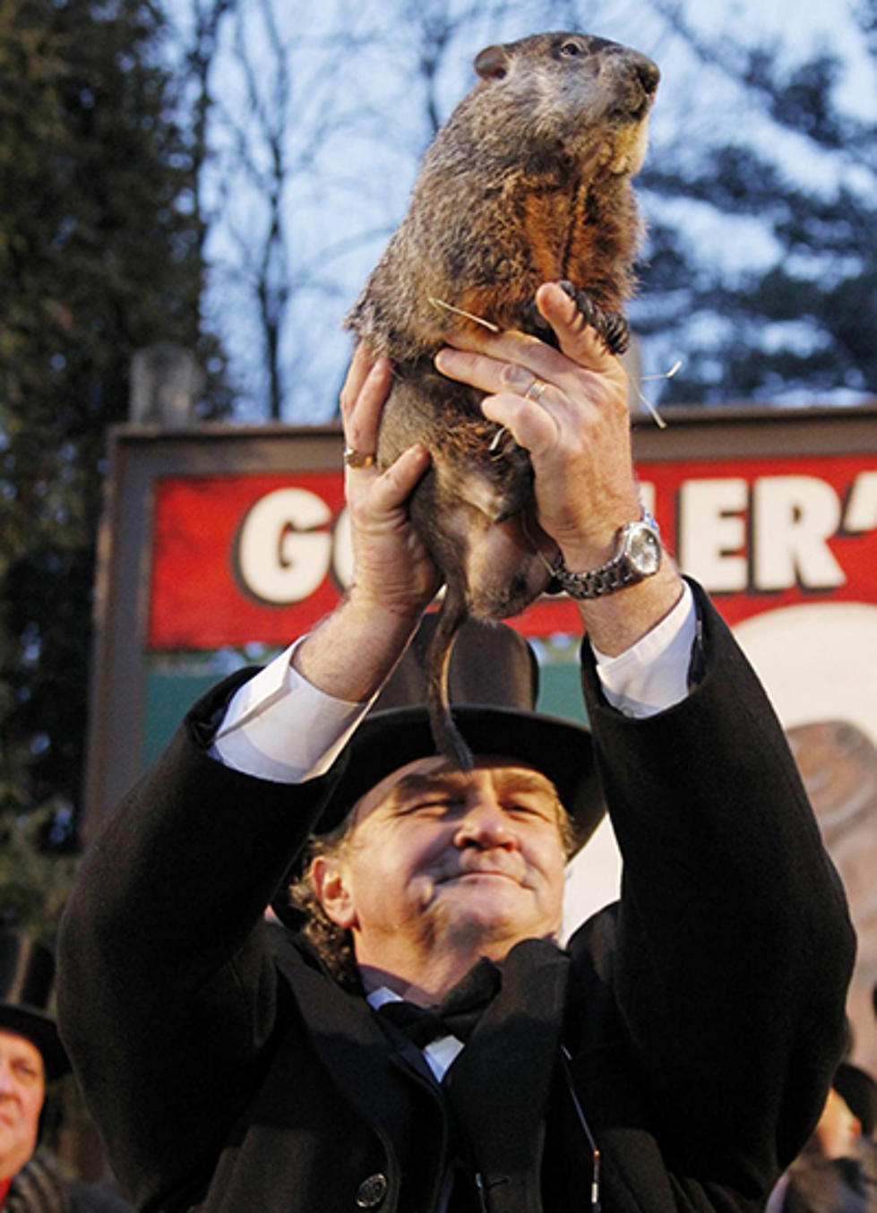Groundhog Day is Way More Interesting Than You Think