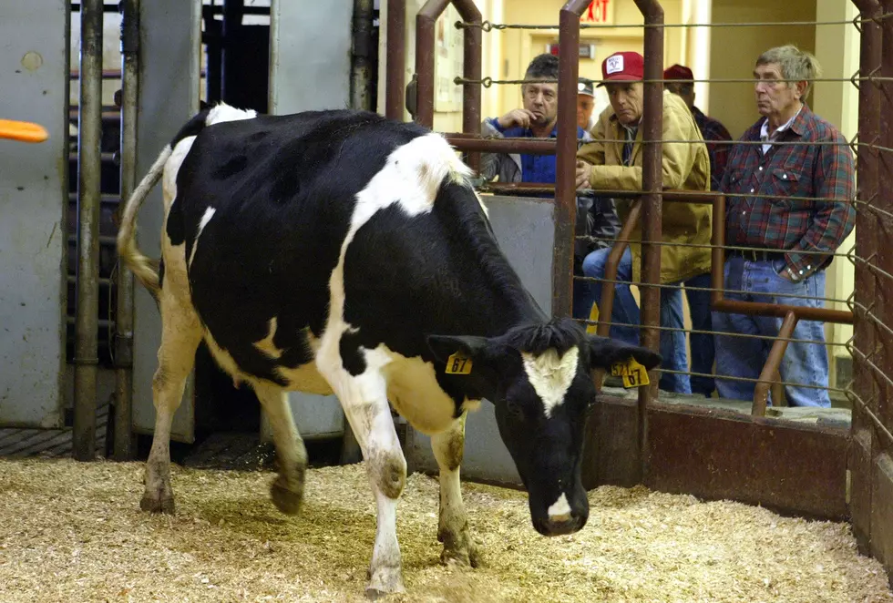 COVID-19 Case at Unadilla Livestock Auction; Were You There?