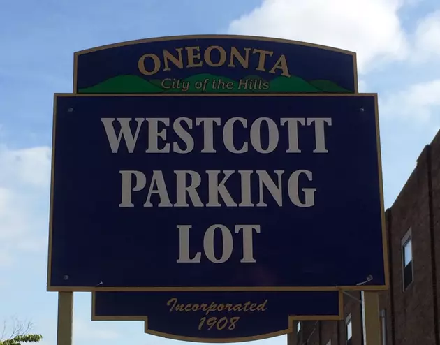 Oneonta Common Council Approves Black Lives Matter Sign Above Westcott Lot