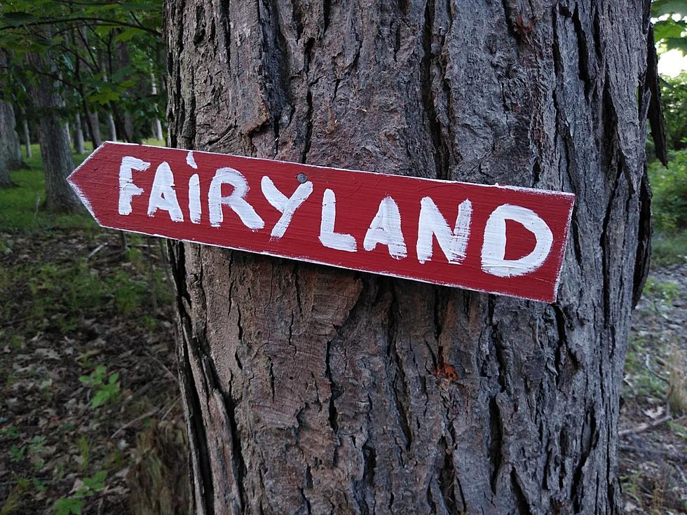 A 'Must-See' Fairyland Trail Awaits You in Oneonta