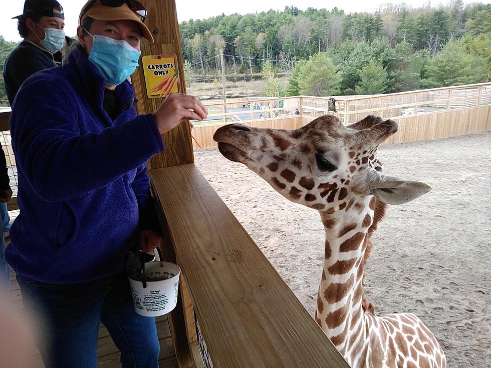 My Wild Visit To Animal Adventure Park on Mother’s Day