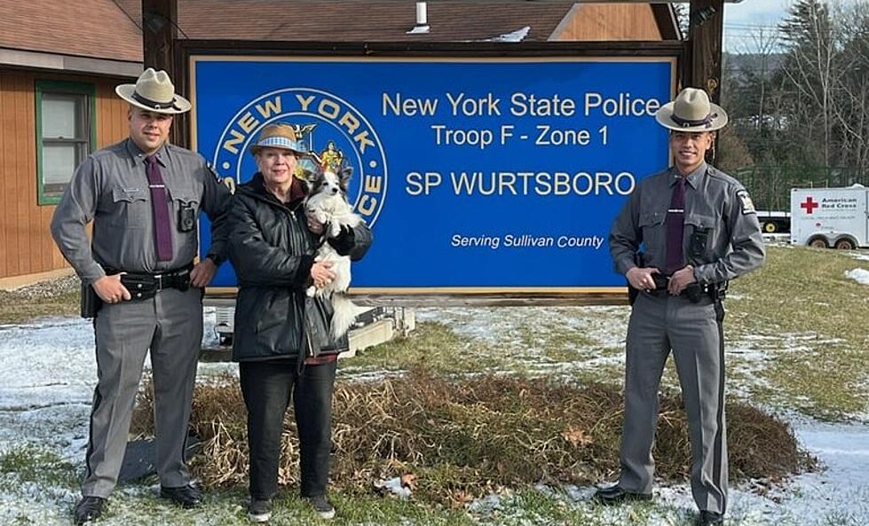 Troopers Save Woman And Her Dog