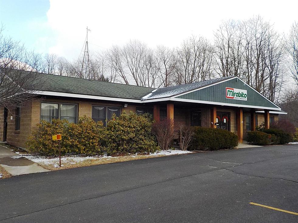 Endless Potential Awaits Owner of Very Versatile Commercial Property For Sale In Oneonta