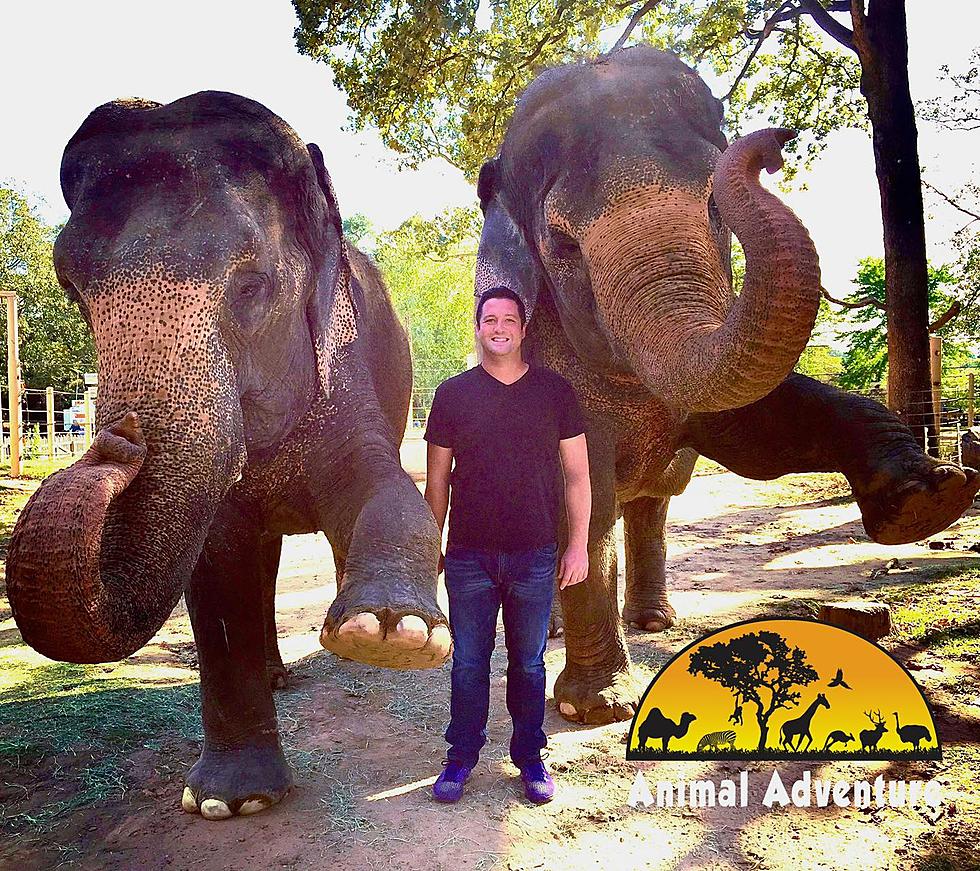 Animal Adventure Park Brings In New Park Director As It Expands