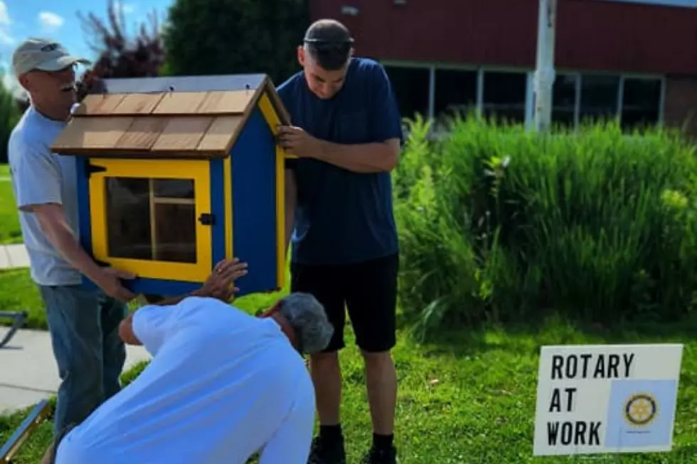 Oneonta Rotary Club Inspires Reading With Little Libraries Project