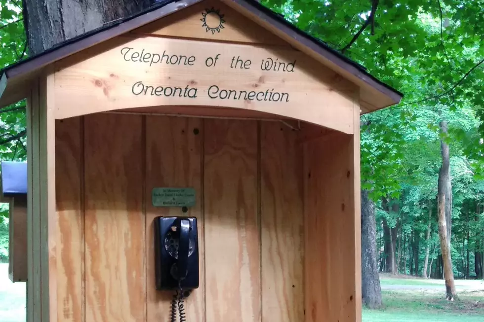 Ground-Breaking Bereavement Project ‘Telephone Of The Wind’ Coming To Oneonta