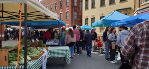 Oneonta, New York Farmers Market Relocation a Good Move