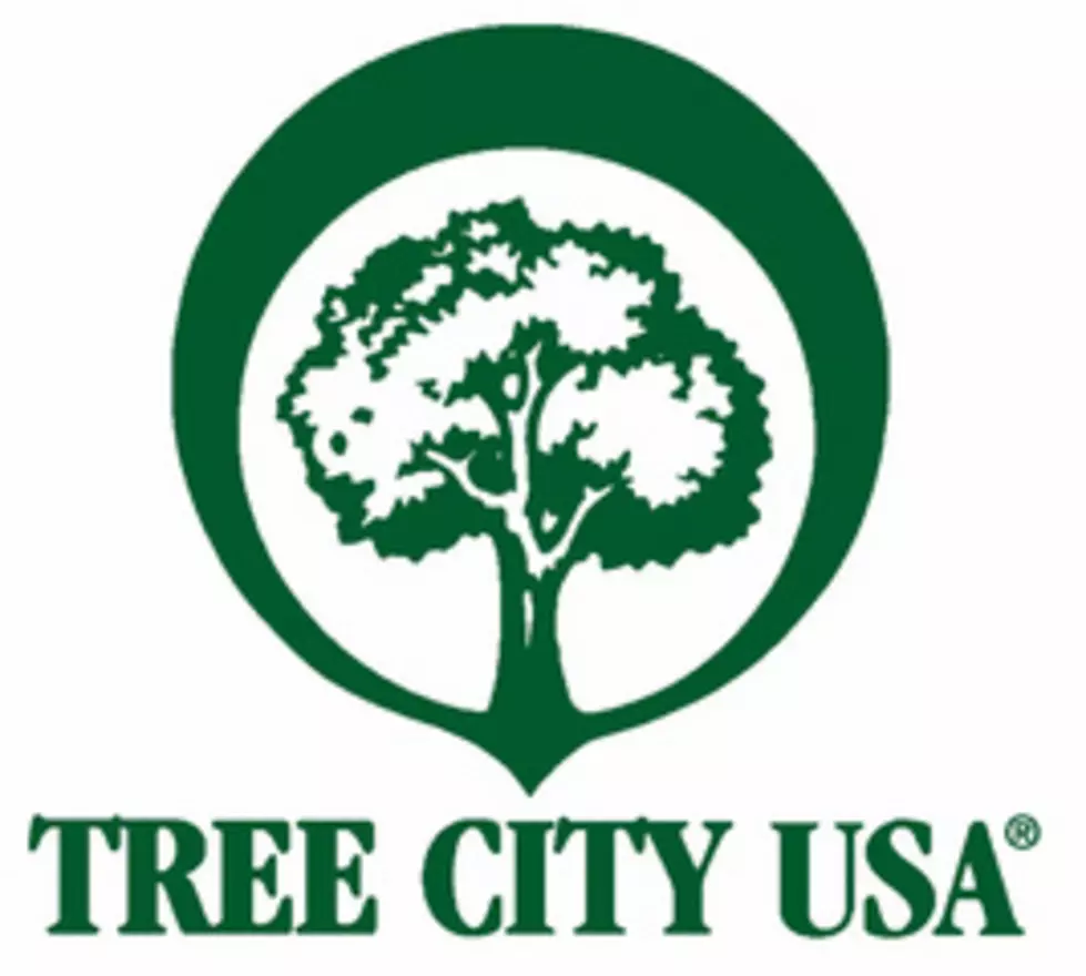Grand Rapids Named Tree City USA