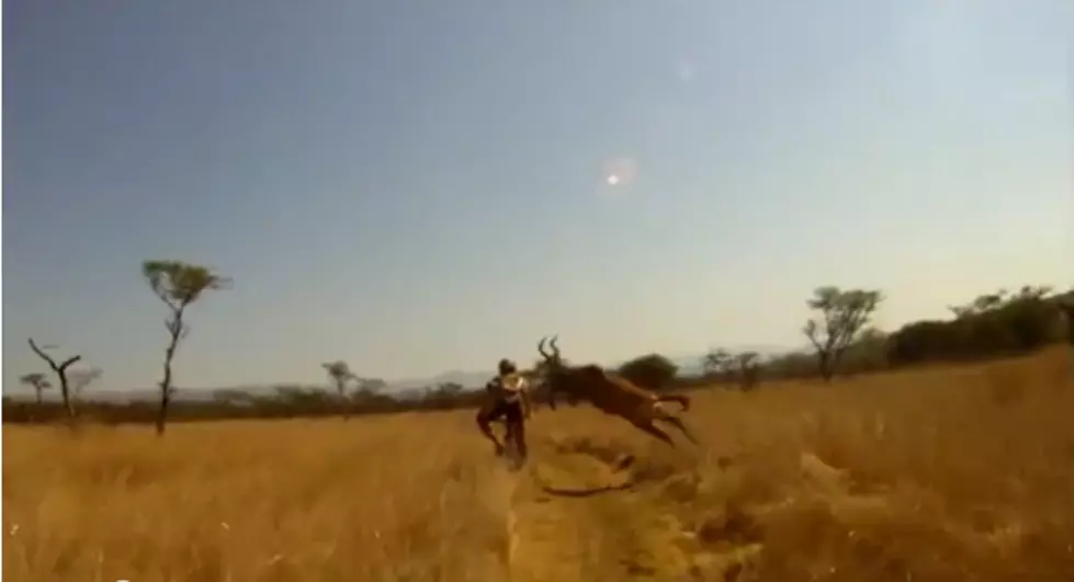 Biker Jumped by Giant African Deer [Must See Video]
