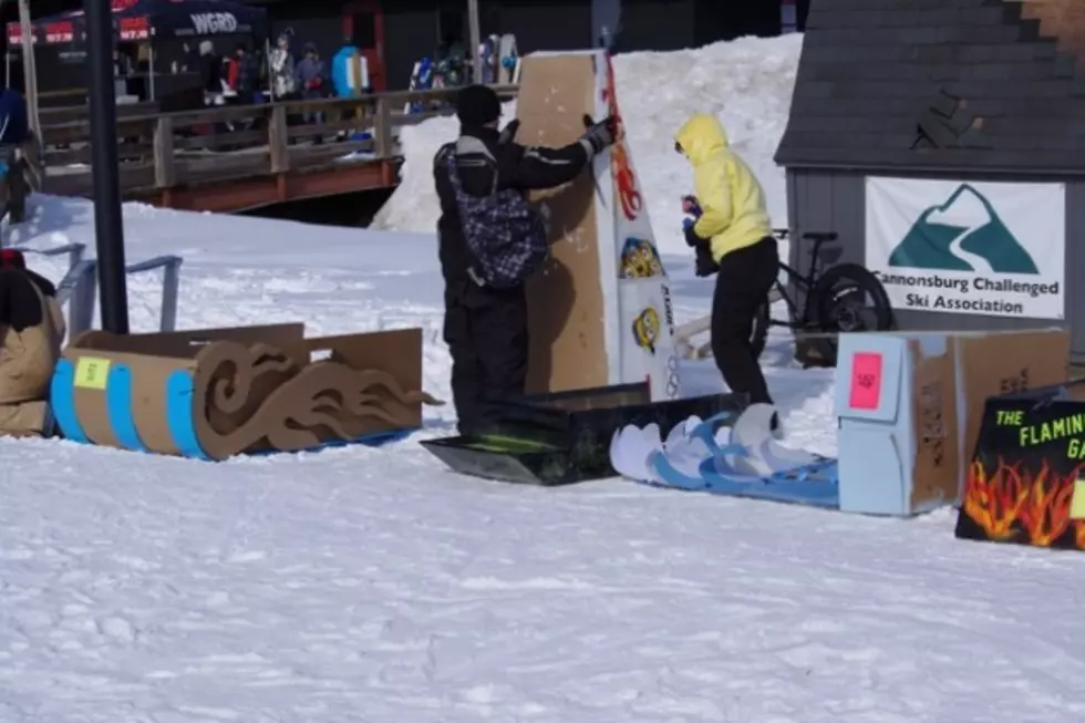 The Cardboard Bobsled Derby You Can Win
