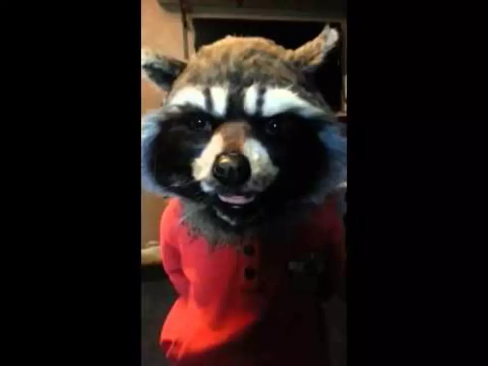 Michigan Mom Creates A Rocket Raccoon Costume for Halloween, Wins The Internet [Video]