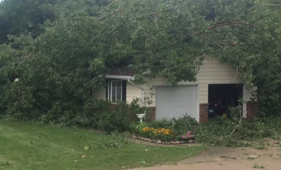 Pictures of the Damage from the Storm in Ionia