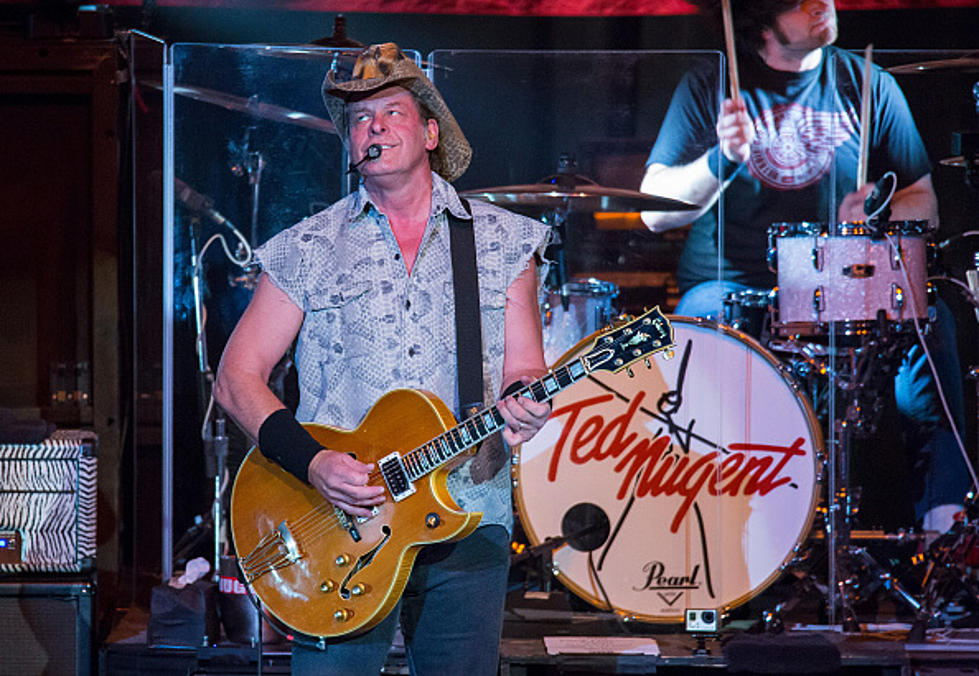 Ted Nugent Is Thinking Of A Senate Run