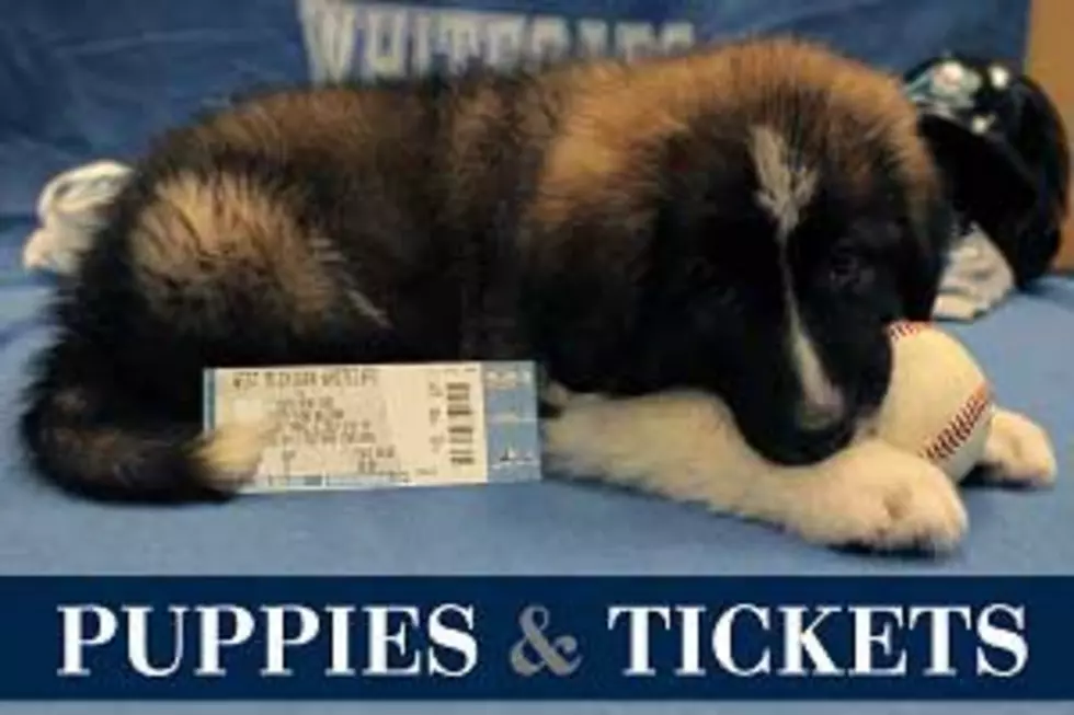 Puppies to Deliver West Michigan Whitecaps Tickets!