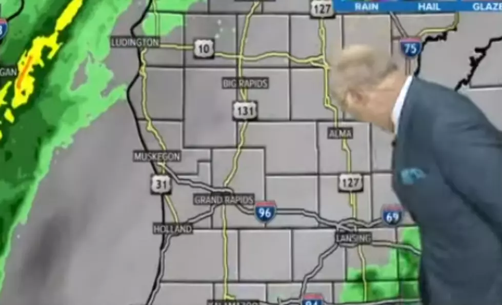 Water Bug Attacks WZZM’s George Lessens! [Video]