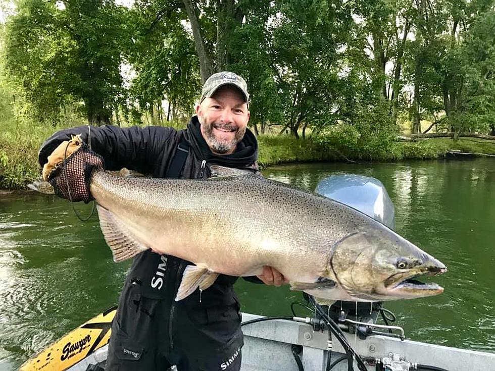 Michigan Guide Reels In A Beast Of A Chinook Salmon