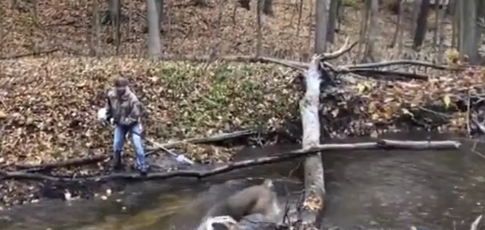 Lowell Man Sets Tangled Bucks Free With A Saw [Video]