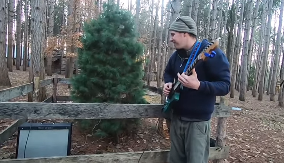 The Trees In The Electric Forest Power A Guitar Amp! [Video]