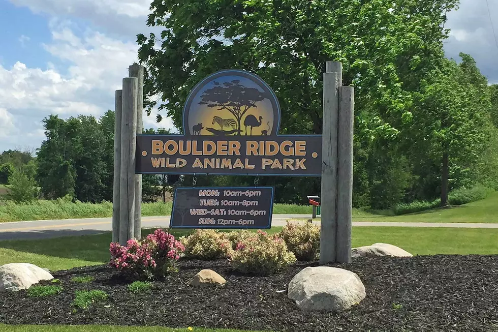 Boulder Ridge Animal Park to Open on Friday
