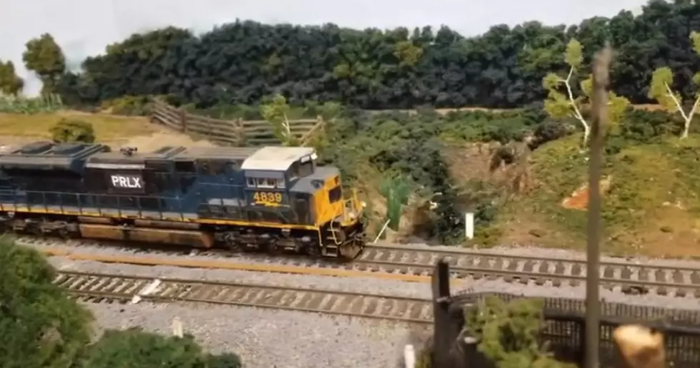 Michigan Man Makes Uncannily Real Model Train Landscapes [Video]