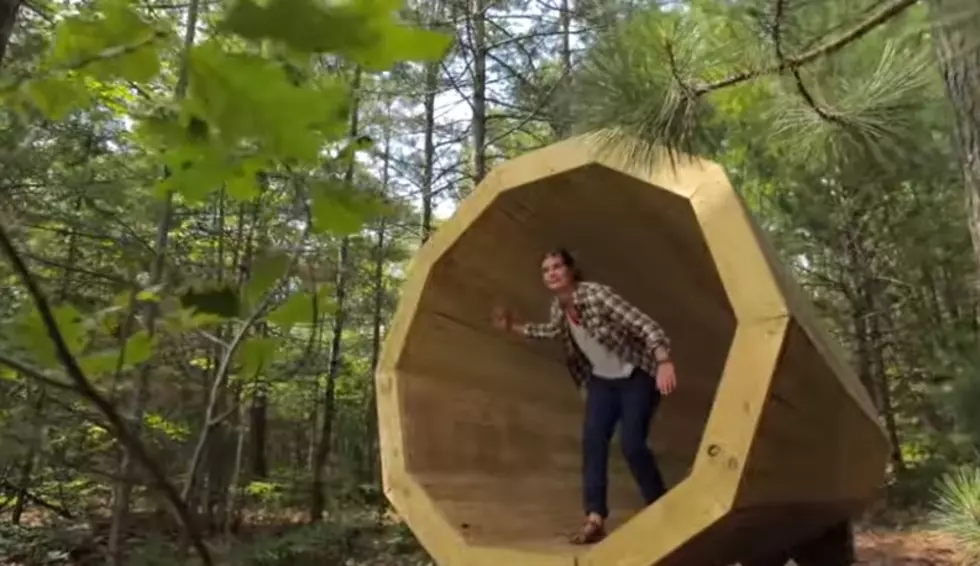 Did You Know Michigan Has A &#8216;Nature Megaphone&#8217;? [Video]