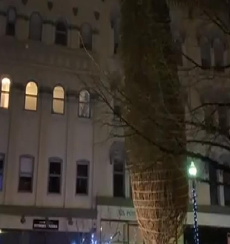 The Downtown GR Christmas Tree Is Up [Video]