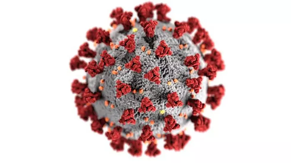 Michigan Coronavirus Numbers Level Off