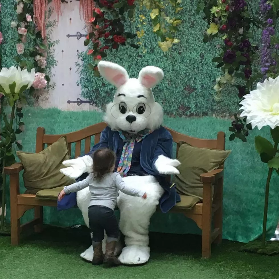 There Will Not Be An Easter Bunny At Woodland Mall This Year