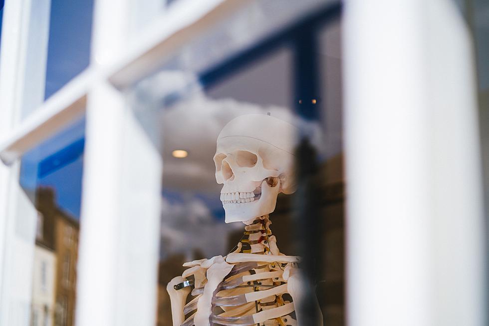 Skeleton Found Inside Michigan Home
