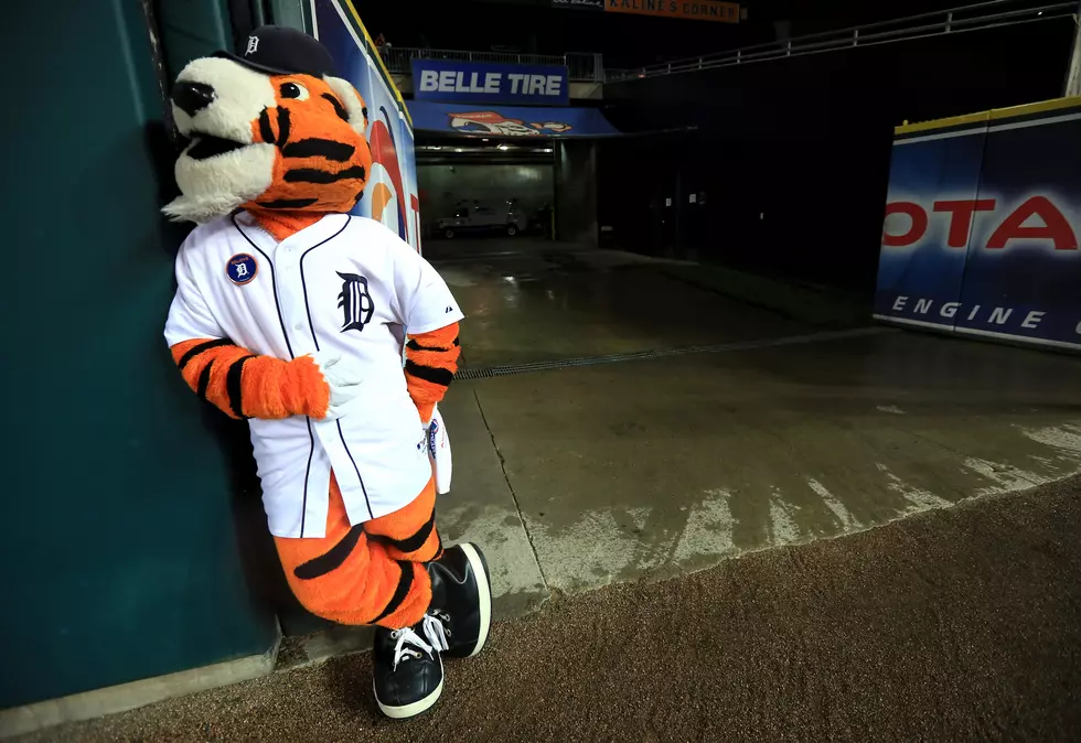 Tigers Mascot &#8216;Paws&#8217; Earns 2nd Place In Fan Poll
