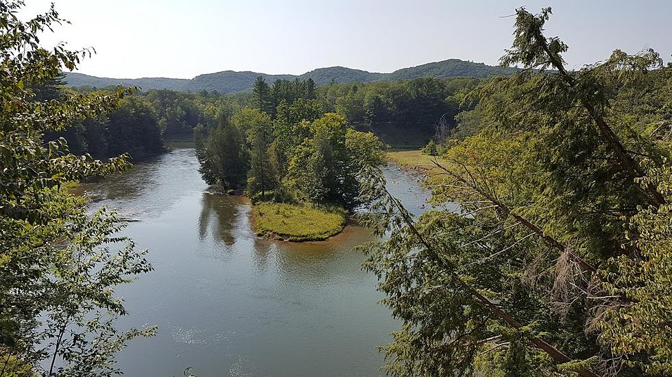 The View From Along The Manistee River Trail [Photos]