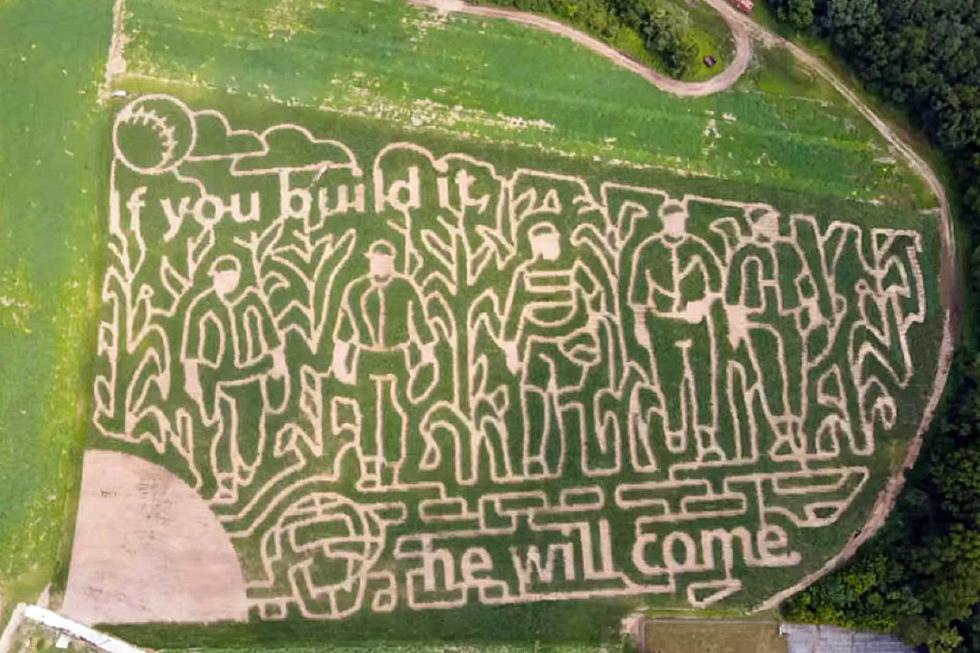 Local Corn Maze to have &#8220;Field of Dreams&#8221; Theme