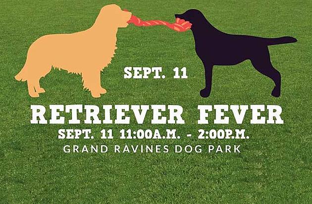 It Could Be the Largest Gathering of Retrievers in Michigan!