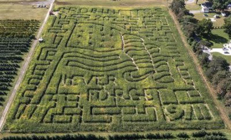 A Guide To Seven Corn Mazes In West Michigan