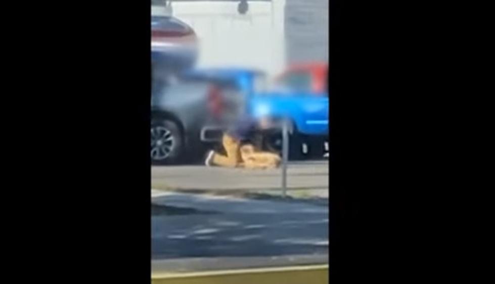 GR Man Charged For Punching Dog On Video