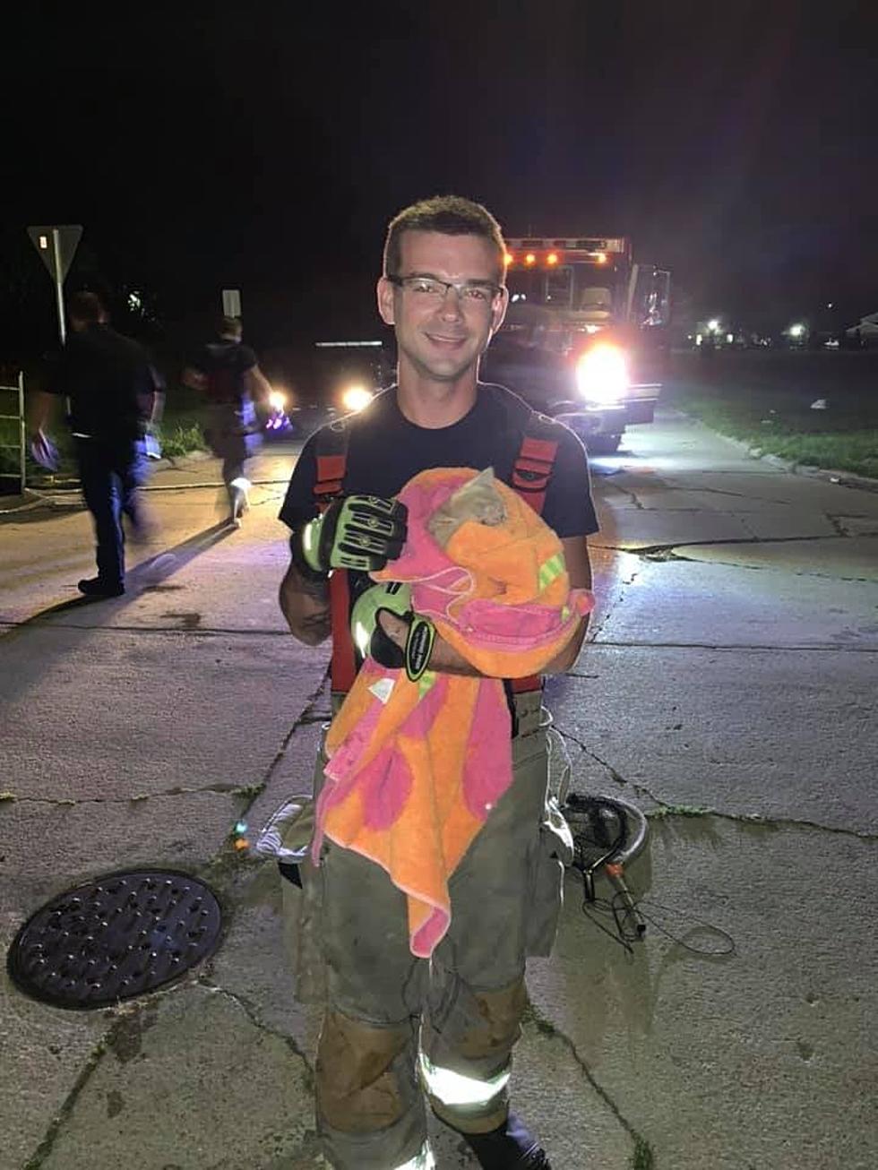 Saginaw Firefighter Rescues Cat From Drain, Decides To Keep It