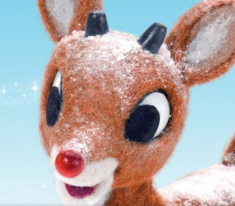 Rudolph The Red-Nosed Reindeer Flies Into Grand Rapids